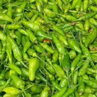 Cabe / Cabai Rawit Ijo 100 gram