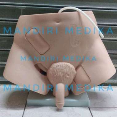 Manekin Kateter Phantom Manikin Catheter Pria Wanita Impor GL 8405 Guan Long Pria