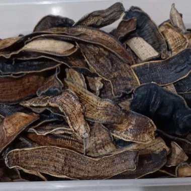 lintah kering 38 gram