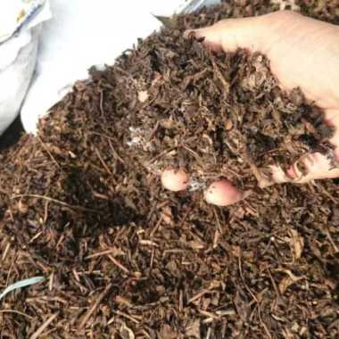 Pupuk organik kemasan daun bambu alus | media tanam organik daun bambu kering | media tanam kompos d