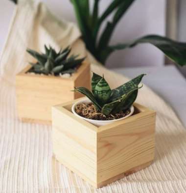 POT ANGGREK KAYU 45 cm pot kayu anggrek vanda gantung tanaman hias octagonal