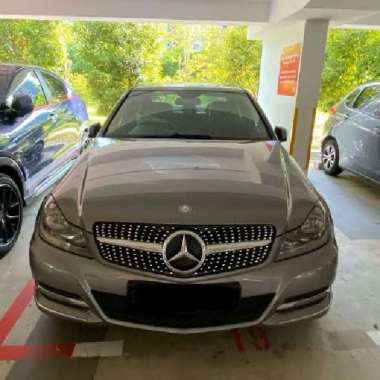 Grill Mercedes Benz W204 Diamond List Silver (2007-2014) with logo