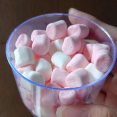 Marshmallow Snack Cemilan makanan vitamin sugar glider hamster burung