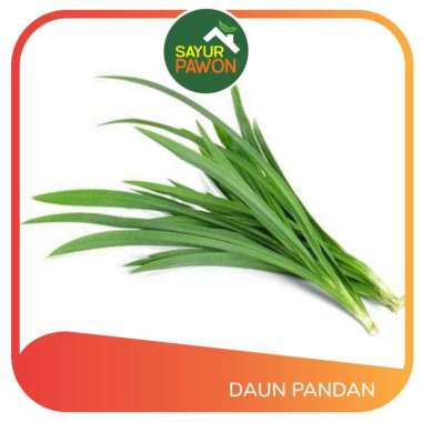 Daun Pandan Segar per ikat - Sayur Pawon Jogja