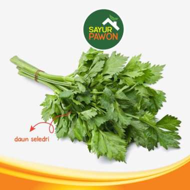 DAUN SELEDRI SEGAR per ikat - Sayur Pawon Jogja