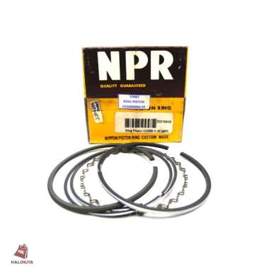 RING PISTON GS300NPR0.25