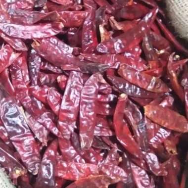 Cabe caplak 500 gram