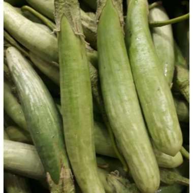 Terong Medan / Terong Telunjuk 500 gram
