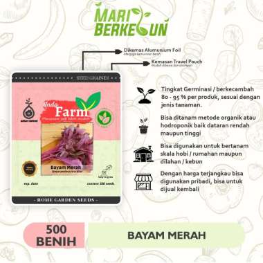 Benih Biji Bibit 500 Tanaman Bayam Merah INDO FARM / Bayam Merah Red Kualitas Unggul Super INDO FARM