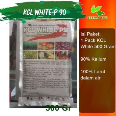 Pupuk Daun KCL White P90 500 gram putih