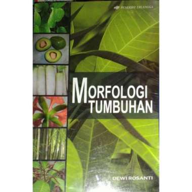 MORFOLOGI TUMBUHAN Multicolor