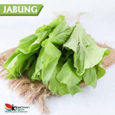 Sayur Jabung / Sawi Pahit Inagreen Farm Bandung