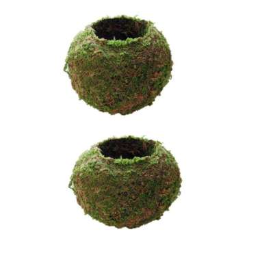 6Pcs Moss Ball Planter Pot Suit Orchid Or Small Plant Garden Decoration 15cm 