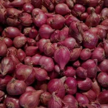 bawang merah brebes 1 kg