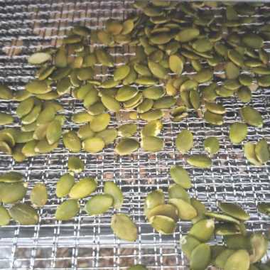 50gr Roasted Pumpkin Seeds (Biji Labu Kupas) Aktivasi - Activated - Grade AAA
