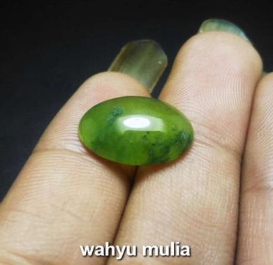 Batu Akik Lumut Sungai Dareh Padang Asli (kode:648) Hijau