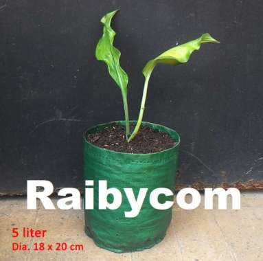 Planter Bag 5 Liter Easy Grow Planterbag Pohon Buah Tanaman Sayur 5L Hijau