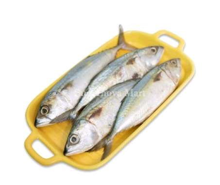 Supernova Mart Ikan Kembung Banjar Segar [1 kg / Area Jakarta]