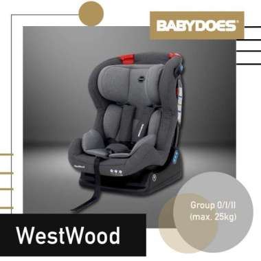 BabyDoes CH LB 873 SN WestWood Car Seat Grey