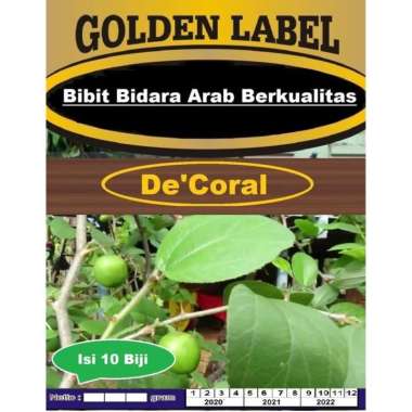 Bibit Bidara Arab | Benih Bidara Arab