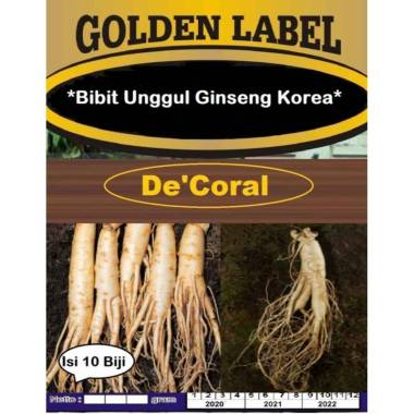 Bibit Unggul Ginseng Korea | Benih Gingseng Korea