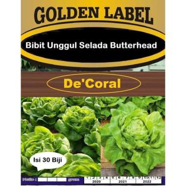Bibit Unggul Selada Butterhead | Benih Selada Butterhead