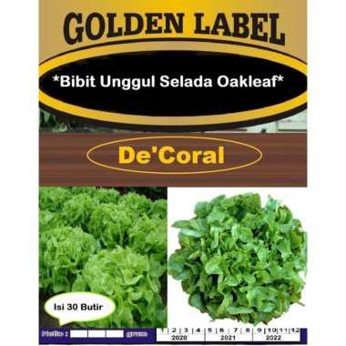 Bibit Unggul Selada Oakleaf | Benih Green Selada Oakleaf