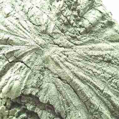 Bubuk Daun Salam Kering hijau 1kg