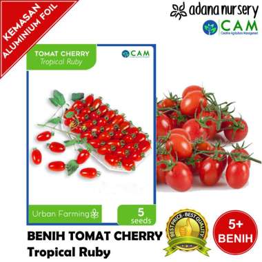 Benih / Biji Tomat Cherry Tropical Ruby Repack - Berkualitas - 5 Seeds