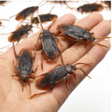 Kecoa Plastik Mainan Kucing Mirip Asli Fake Roach Cockroach