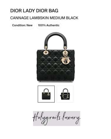 Harga Dior Lady Bag Original Terbaru Mei 2022 | BigGo Indonesia