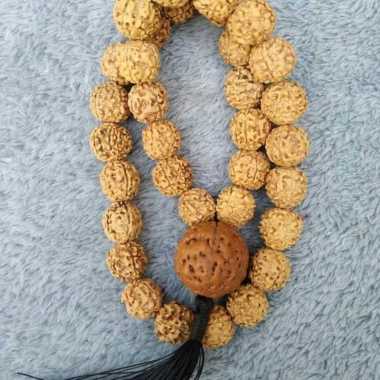 tasbih jenitri rudraksha isi 33 butir bandul jenitri besar