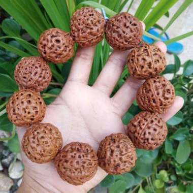 Gelang Jenitri Genitri Rudraksha Mukhi 7 - Cokelat Cokelat