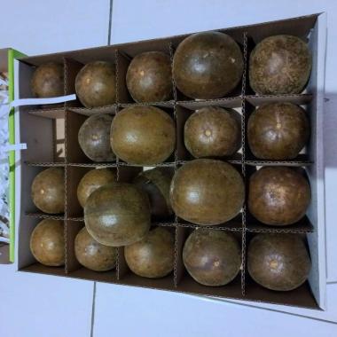Buah Lohan Kuo Perkotak isi 20 biji