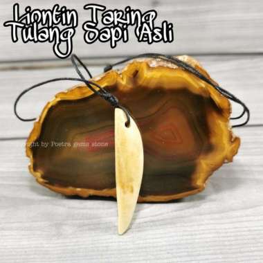 Kalung Liontin Taring macan Tulang Asli Tanpa kalung korea
