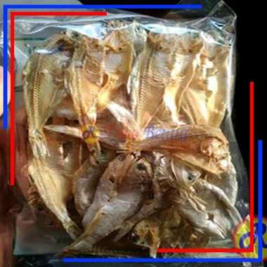 ikan asin bilis tipis 100