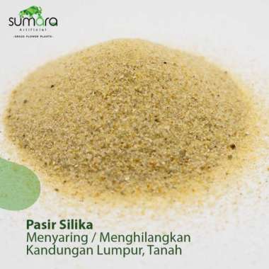 Pasir Silika Silica Aquascape/ Filter air / Rumput Sintetis 50 kg