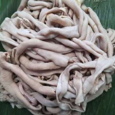 Usus ayam segar 1kg