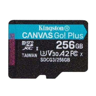Kingston Canvas Go Plus 4K microSD Card - 256GB