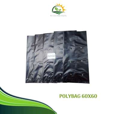 Polybag 60x60CM MINIMAL ORDER 5 PCS