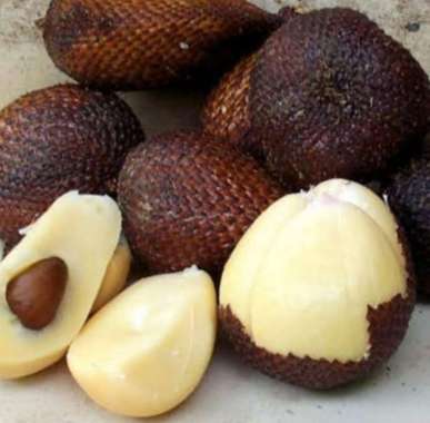 SALAK PONDOH 1 KG