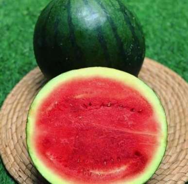 SEMANGKA NON BIJI MERAH/ 1KG