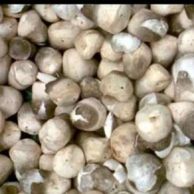 Jamur merang 250 grm