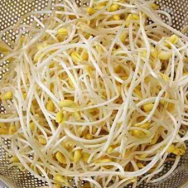 Tauge Besar 250 gram