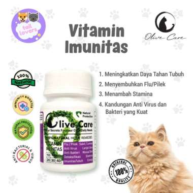 Vitamin Kucing Sakit Flu Pilek Imunitas Tubuh Lemes