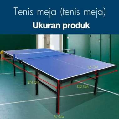 Tenis Meja Lapangan Pingpong Bagus Biru