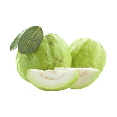Jual Jambu Tanpa Online Baru Harga Termurah Agustus 2020 Blibli Com