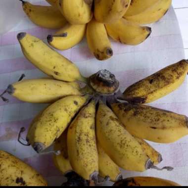 Pisang Raja Sereh
