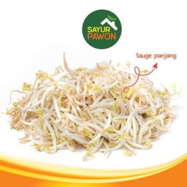 TAUGE PANJANG / TAUGE PENDEK / KECAMBAH SEGAR 250 gram - TAUGE PANJANG