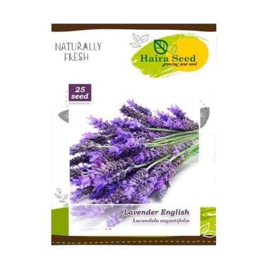 Jual Haira Seed Bunga Lavender English Bibit Tanaman Online